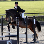 Show Jumping